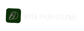 BisiDudu